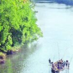 Short-term crop loans disbursed for over 75 lakh farmers in Rajasthan
