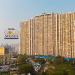 HDFC Life Partners with Kolkata Knight Riders this Cricket Season